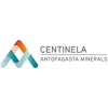 CENTINELA.fw
