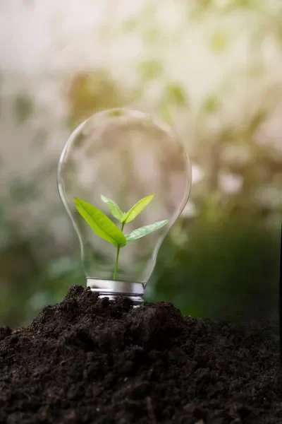 Innovacion-en-procesos-industriales